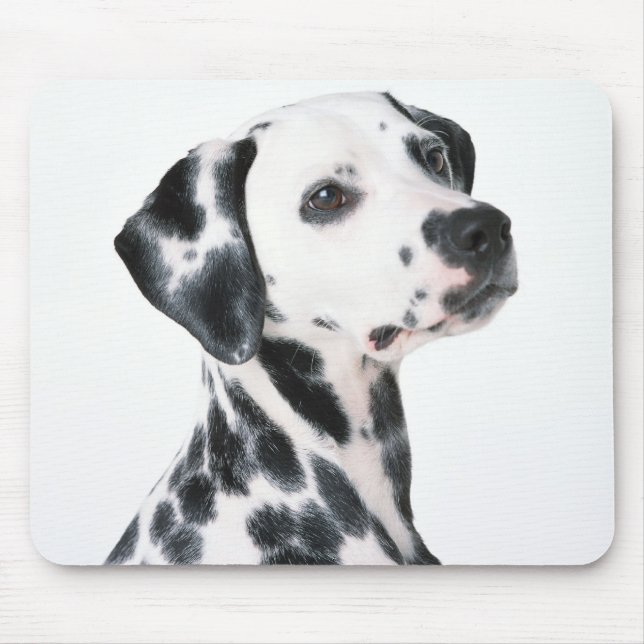 Mousepad Dalmation (Frente)