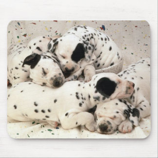 Mousepad Dalmations