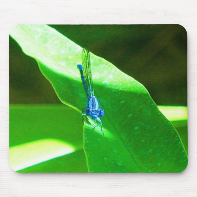 Mousepad Damselfly (Frente)