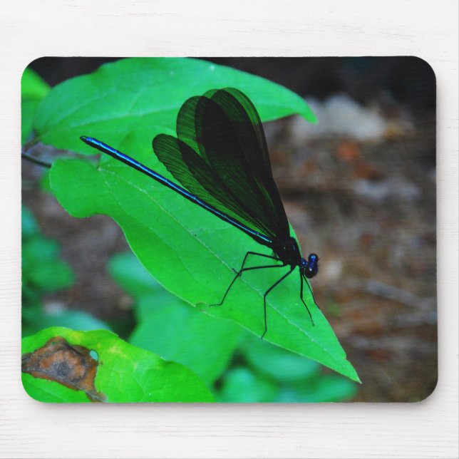 Mousepad Damselfly azul em uma folha verde. (Frente)