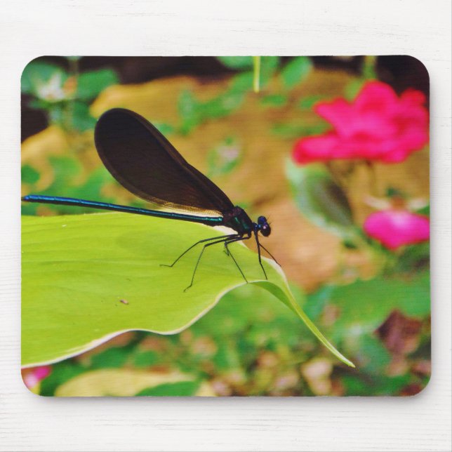 Mousepad Damselfly e Rosa (Frente)