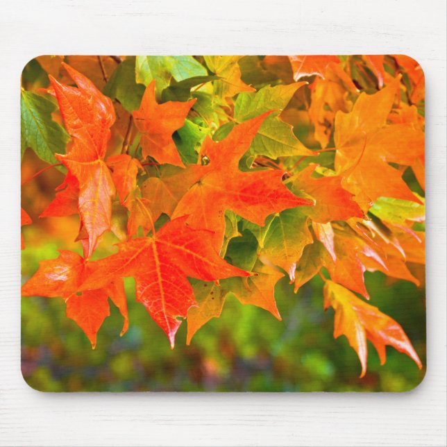 Mousepad Dança Folha de Maple (Frente)