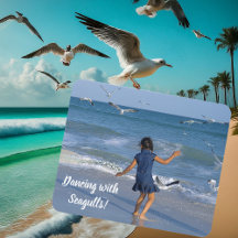 Dançar com gaivotas