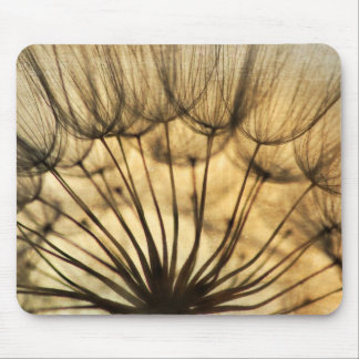 Mousepad Dandeilons