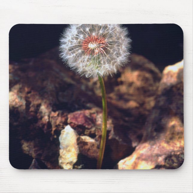 Mousepad Dandelion (Frente)