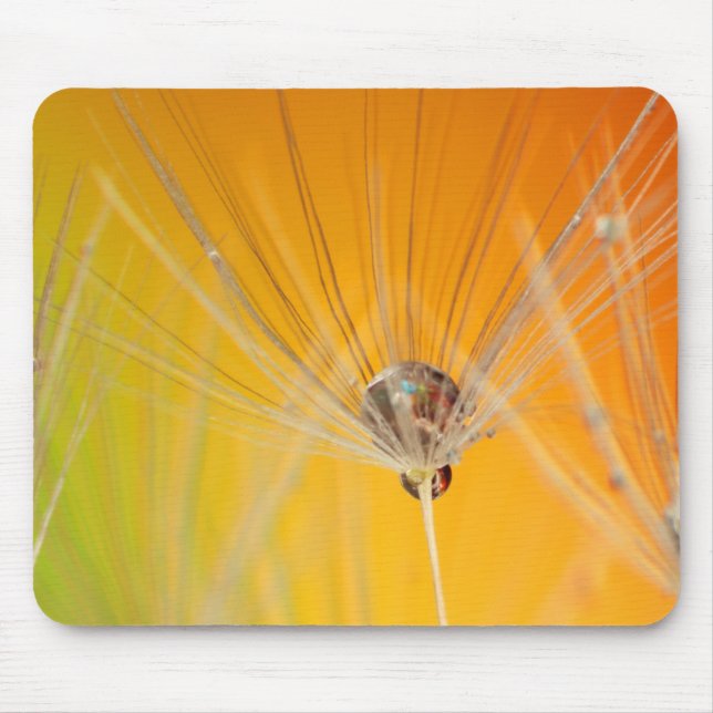 Mousepad Dandelion Blossoms Flores Destino Paz Amor Arte (Frente)