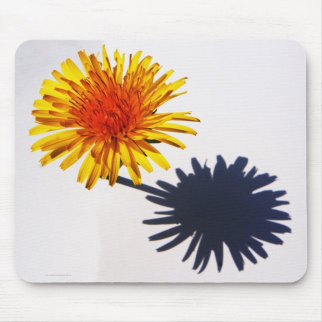 Mousepad Dandelion e Shadow mpcna (Frente)