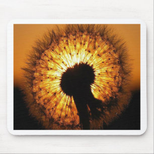 Mousepad Dandelion no Sunset