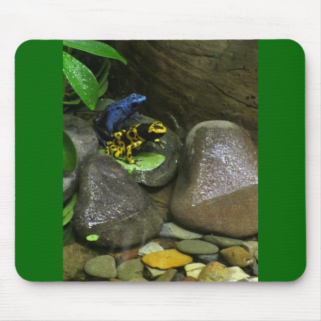 Mousepad Dart Sapo Buddies (Frente)