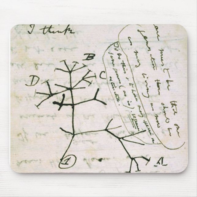 Mousepad darwin (Frente)