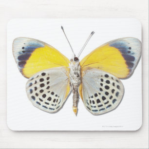 Mousepad Davisi de Calithea