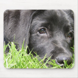 Mousepad Daydreamer preto do laboratório