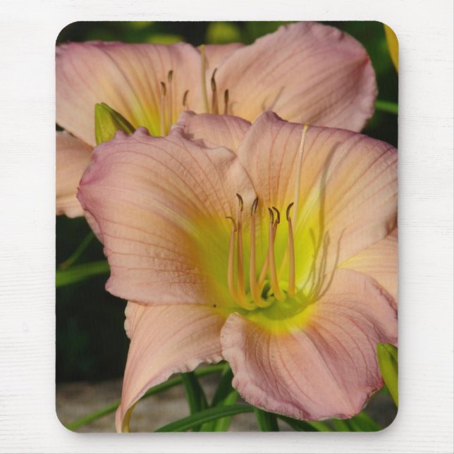 Mousepad Daylillies (Frente)