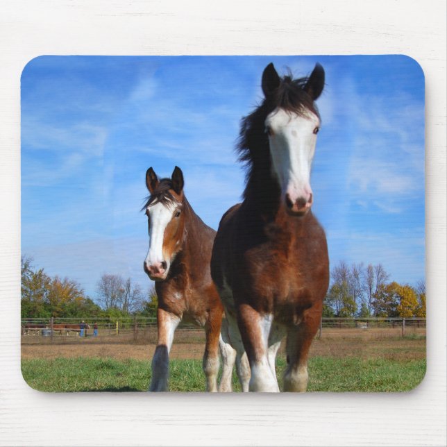 Mousepad de 2 Clydesdales (Frente)