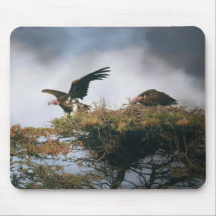 Mousepad de Abutres