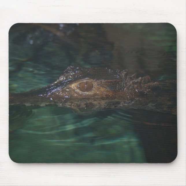 Mousepad de Alligador (Frente)