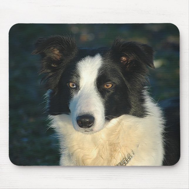 Mousepad de Amor de Cachorrinho Border Collie (Frente)