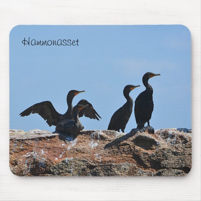 Mousepad de aves marinhas (Frente)