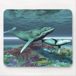 MOUSEPAD DE BALEIA