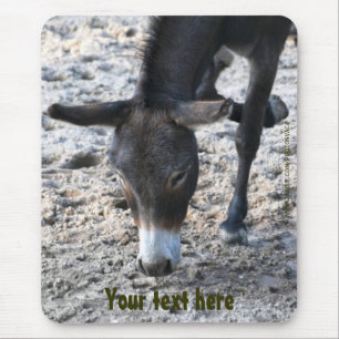 Mousepad de Burro