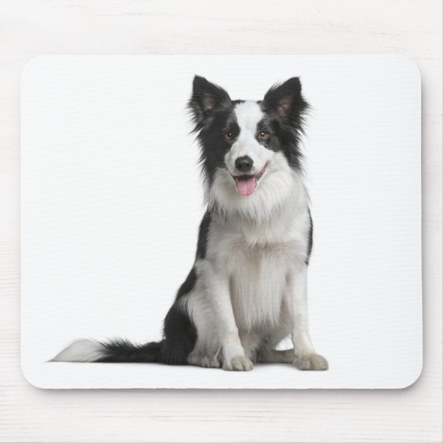 Mousepad de Cachorro Border Collie Filhote (Frente)