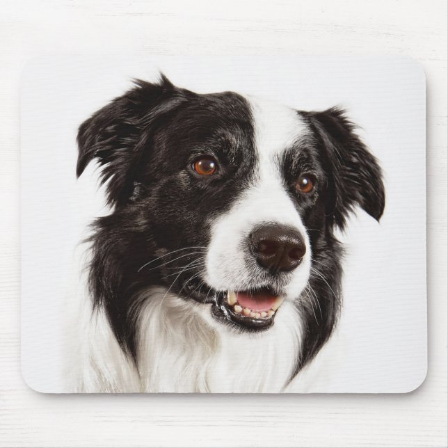 Mousepad de Cachorro Border Collie Filhote (Frente)