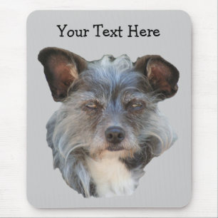 Mousepad de Cachorro Mestiço Mestiço de Raça Me