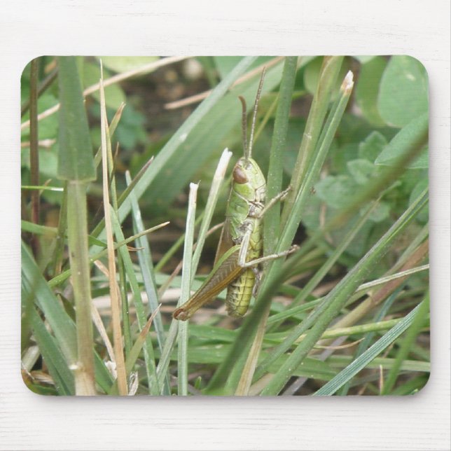 Mousepad de Camuflagem de Gafanhoto (Frente)