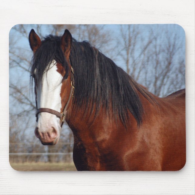 Mousepad de Clydesdale (Frente)