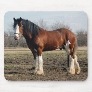 Mousepad de Clydesdale