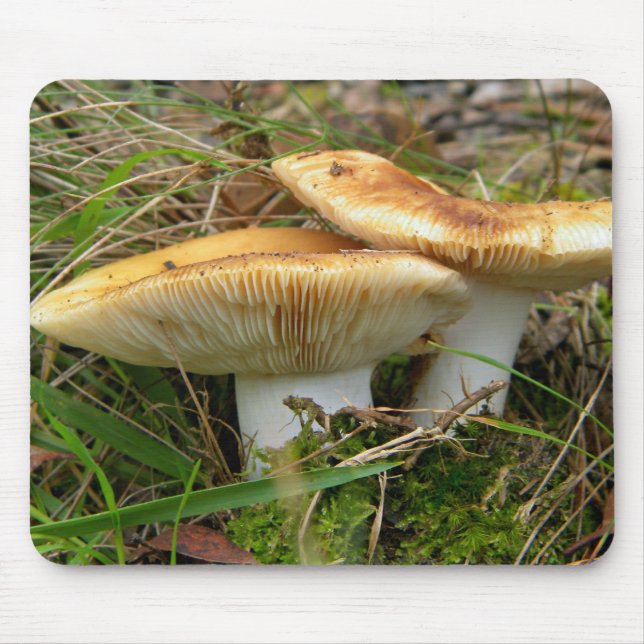 Mousepad de Cogumelo Duplo (Frente)