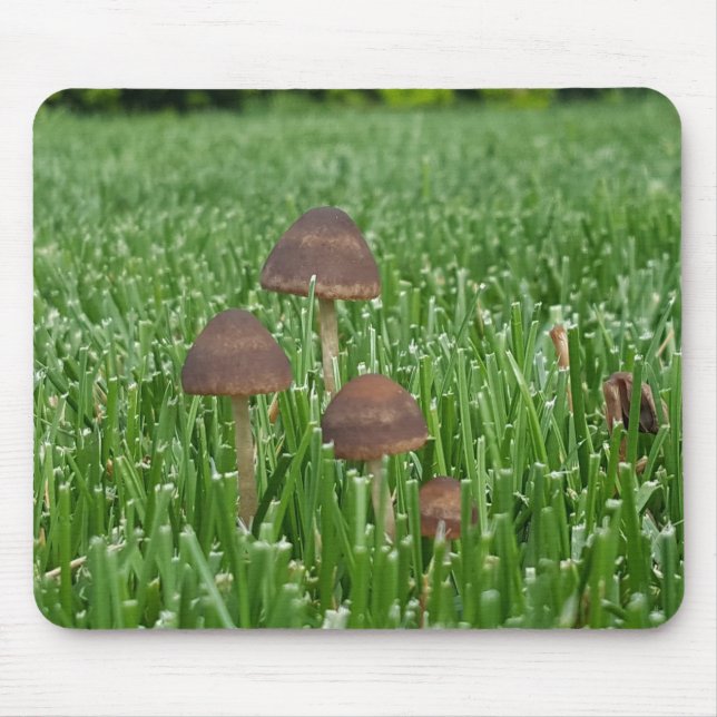 Mousepad de Cogumelo Selvagem e grama (Frente)