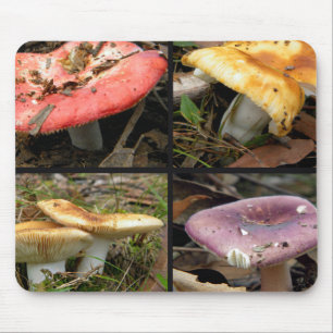 Mousepad de Cogumelos