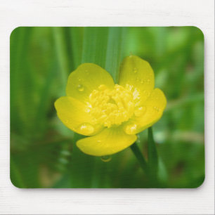 Mousepad de Copo de Appalachian