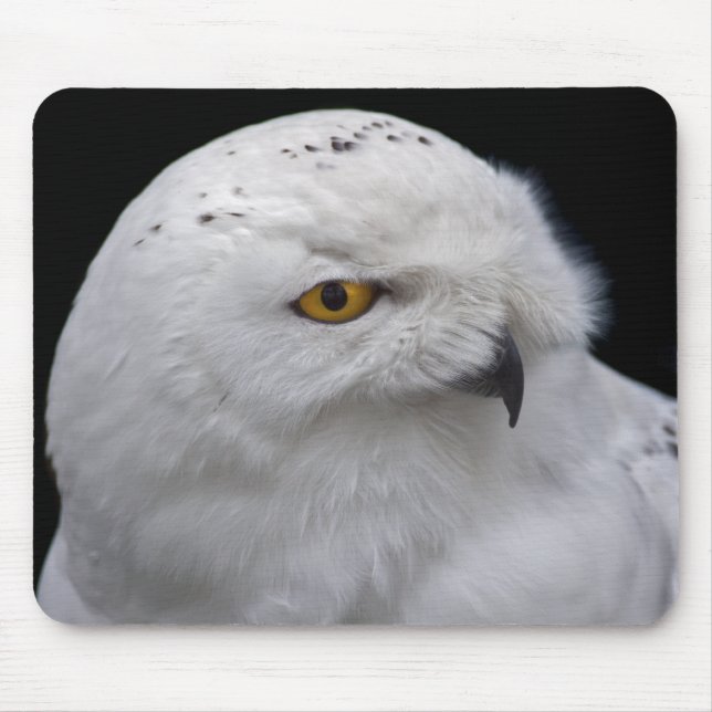 Mousepad de Coruja-da-Neve (Frente)