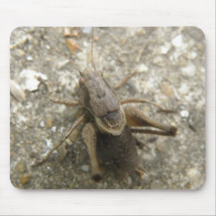 Mousepad de Críquete Castanho