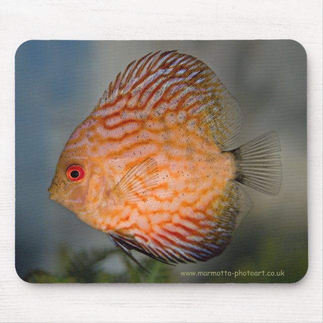 Mousepad de Disco de Pedra de Pombo (Frente)
