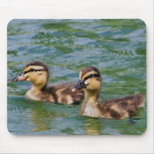 mousepad de dois patinhos