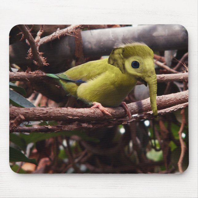 Mousepad de Elebird (Frente)