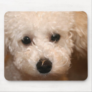 Mousepad de Filhote de Poodle Brinquedo