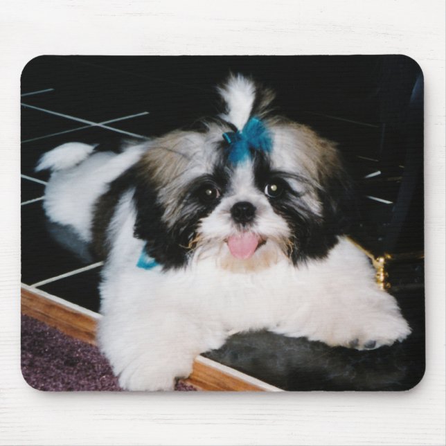 Mousepad de Filhote de Shih-Tzu (Frente)