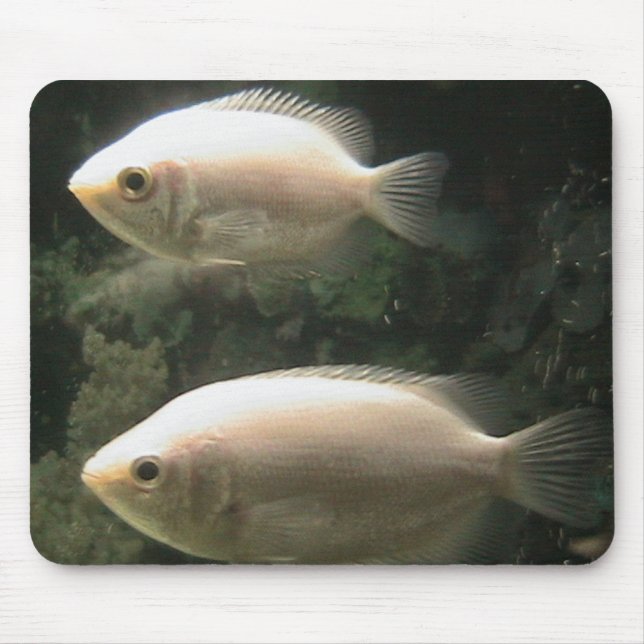 Mousepad de Fishies (Frente)
