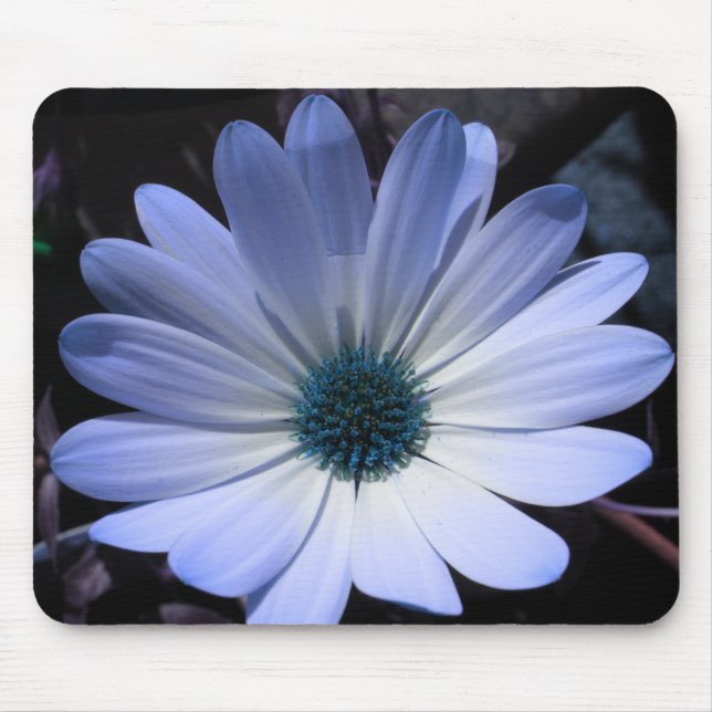 Mousepad de Flor Azul Daisy (Frente)