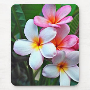 Mousepad de Flor Havaiano