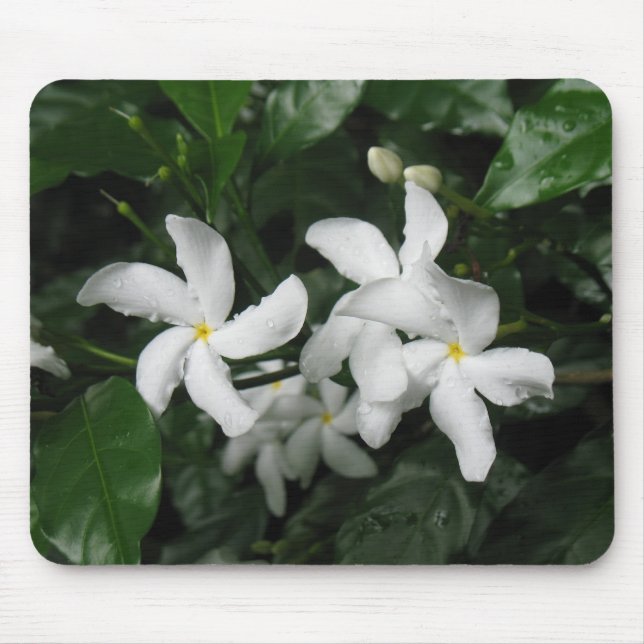 Mousepad de Flores (Frente)
