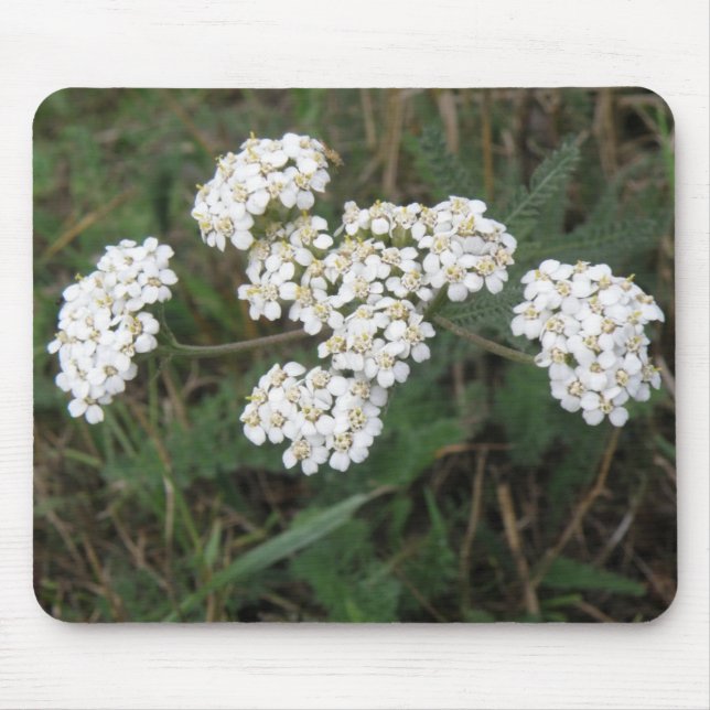 Mousepad de Flores Brancas (Frente)