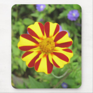 Mousepad de Foto Marigold Francês Striped