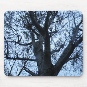 Mousepad de Fotografia de Silhueta de Árvore