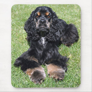 Mousepad de Fotografia do Cocker Spaniel