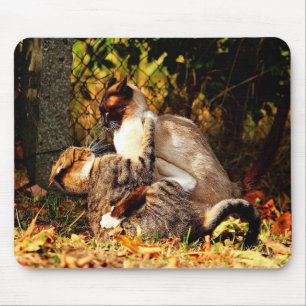 Mousepad de Gatos